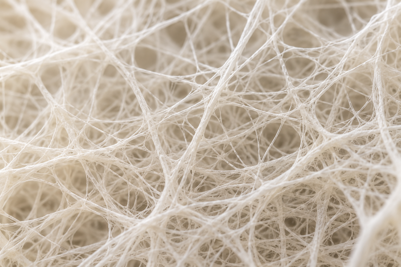 Close-up macro view of an electrospun nanofiber mesh