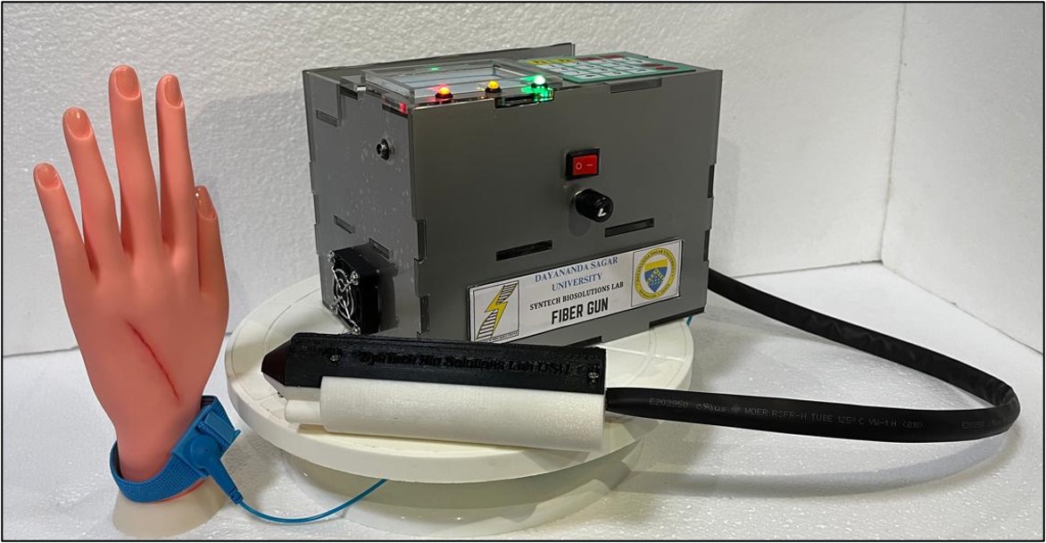 Portable Biomedical Device